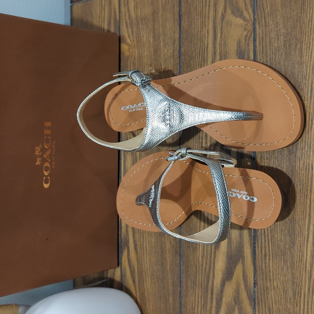 Coach Vitalia Bright Silver Matte Metallic Cross Grain Sandal